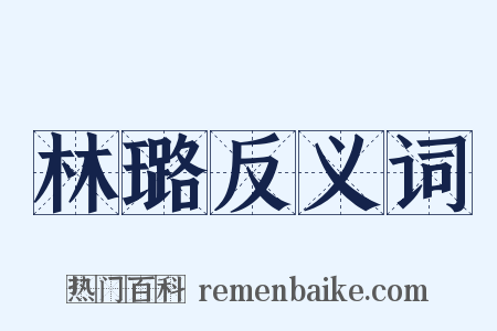 林璐反义词是什么意思的图片